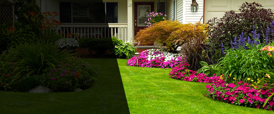 Whitehouse Landscapers
